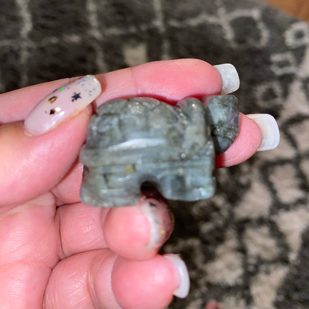 Crystal turtles - Picture 7 of 16